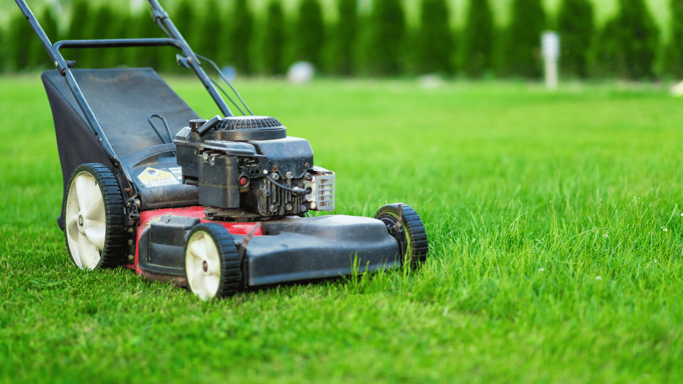Lawn Mower